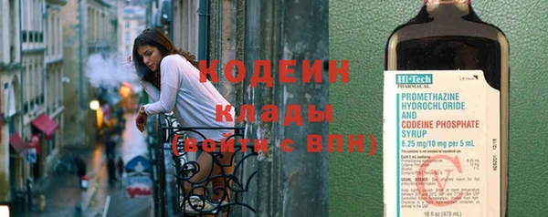 трава Няндома