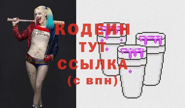 трава Няндома
