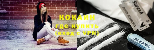 трава Няндома