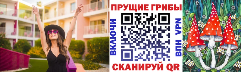 Псилоцибиновые грибы мицелий Менделеевск